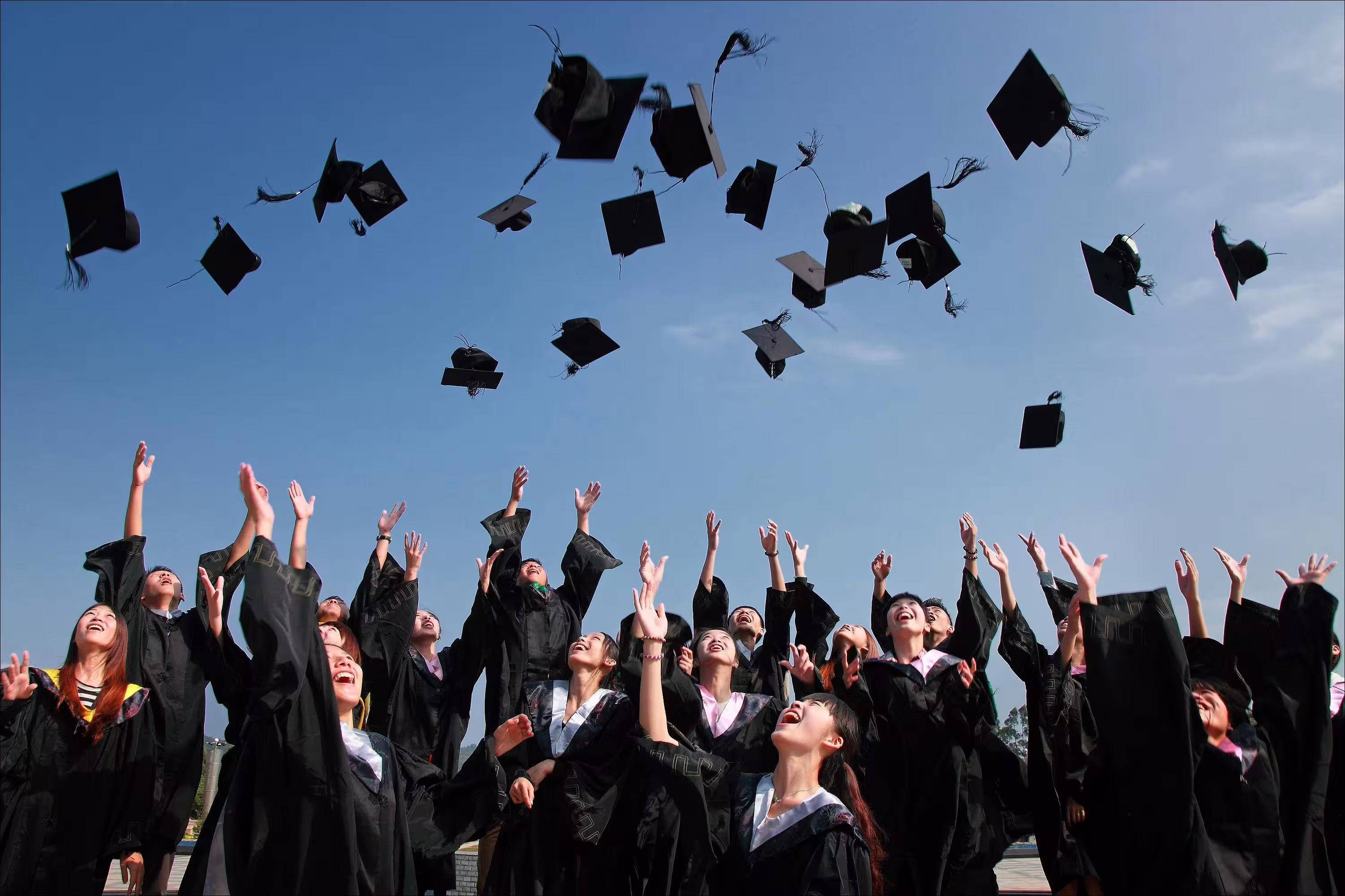 Thay Trust Success Stories